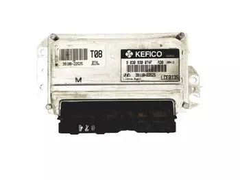 39110-22525 Calculateur Hyundai