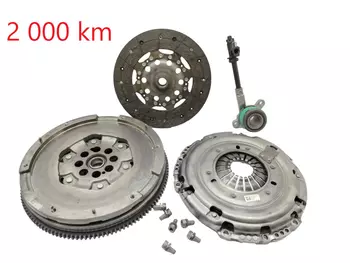 123106905R, 302050865R,  Volant moteur Fiat Nissan Opel Renault 2.0 DCI  M9R PF6 2 000 km
