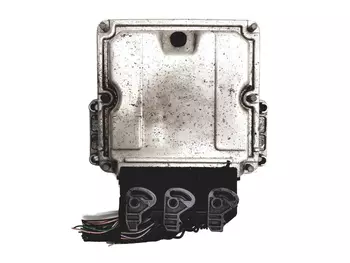 0 281 010 556 Calculateur Renault