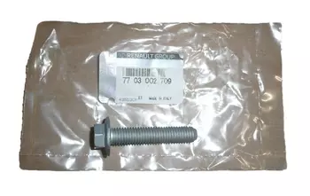 7703002709 Vis Renault