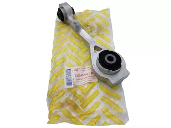 8200493821 8200118297 Coussin moteur Renault 1.9 dCi