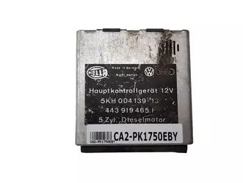 443919465F Calculateur ecu Audi