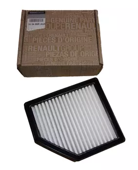 165466RA0A Filtre  À air Dacia Renault