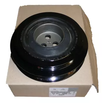 PSA9806722380 Roue d`arbre à cames Citroen Peugeot _2.2 HDi