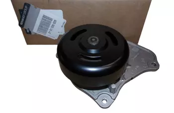 210102662R Pompe À eau Dacia Renault