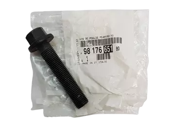 9817665180  Vis Citroen Peugeot 1,2