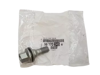 9817024580 Vis de roue Citroen Peugeot