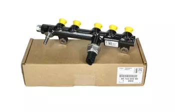 9674300080 Rampe d'injection Citroen Fiat Peugeot 2,0 16v Hdi RHH RH02