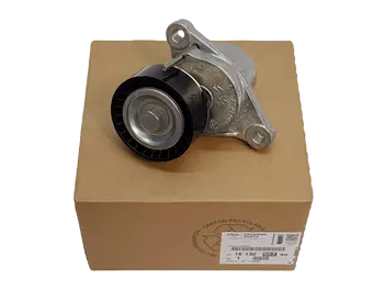 1613255380 Galet tendeur de courroie Citroen Peugeot