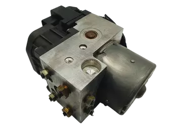 SRB101621 Pompe abs Rover