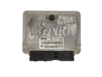 24417194PE Calculateur Ford