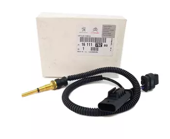 9807521080 Une sonde de température Citroen Peugeot