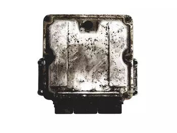 0 281 010 556 Calculateur Renault