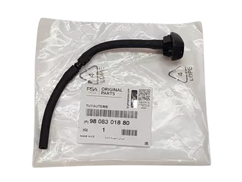 9808301880 Buse  pullvérisateur Citroen Peugeot