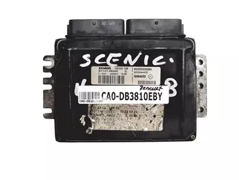 S110138000 C Calculateur Renault