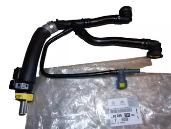 9806553180 Câble d’huile Citroen Peugeot