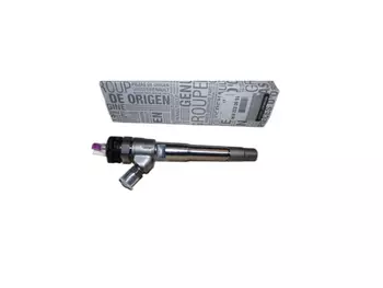 166003281R Injection de combustible Renault