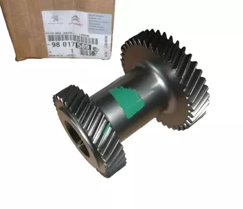 9801758980 Roue dentée de boite de vitesse Citroen Peugeot