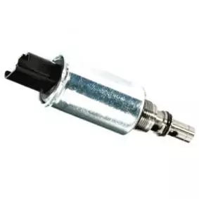 193343 Souppape de combustible Citroen Peugeot 2.0 HDI 8V
