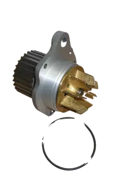 E111670 1201A6 1201C7 Pompe À eau Citroen Peugeot _2.0 HDi