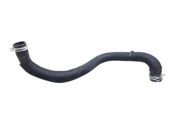 215019847R, 215010197R Tuyau de radiateur Fiat Nissan Opel Renault 2,0 DCI M9R