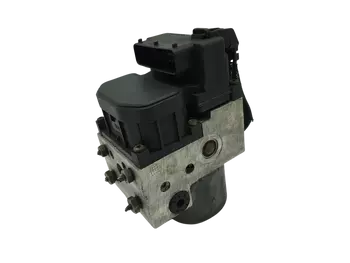 SRB101210 Pompe abs Rover