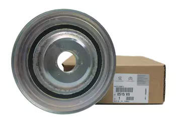 PSA0515.T6 PSA0515.V9 Roue d`arbre à cames Citroen Peugeot _2.0 HDi