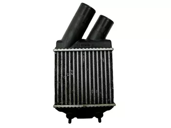 8200175069 | 8200047162 Refroidisseur turbo Renault _1,9 DCI DTI