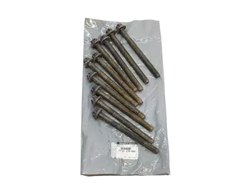 1105600Q0B, 7701478860 Vis Renault