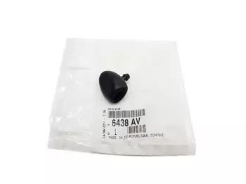 6438.AV, 6438.E6, Buse  pullvérisateur Citroen Peugeot