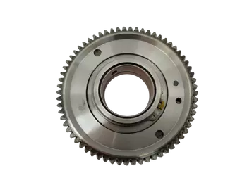 7421049425, 130B02W20A Poulie d'arbre a came Opel Renault ZD3 3.0 dci
