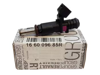 166009685R Injection de combustible Renault