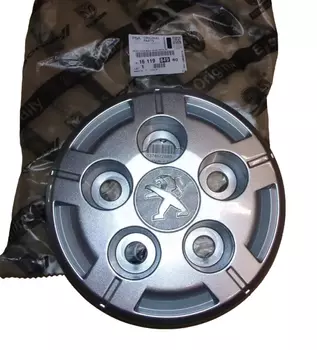 1611984980 Cache roue Peugeot