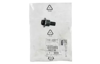 6822.56 Vis Citroen Peugeot