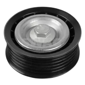 16080248 1608024880 Galet tendeur de courroie Citroen Fiat Peugeot