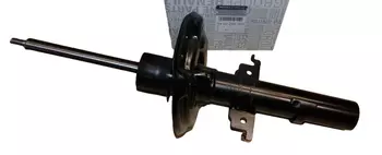 543029535R,  543029846R Amortisseur Renault