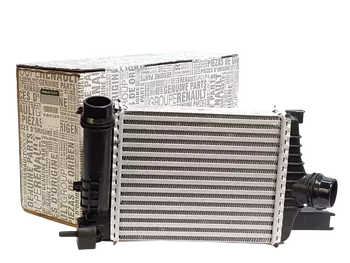 144961381R Refroidisseur turbo Dacia Renault