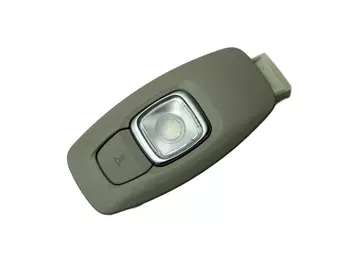 264301419R Lampe illuminateur Renault