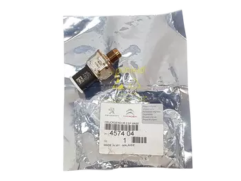 457404  10052299241 Tèmoin Citroen